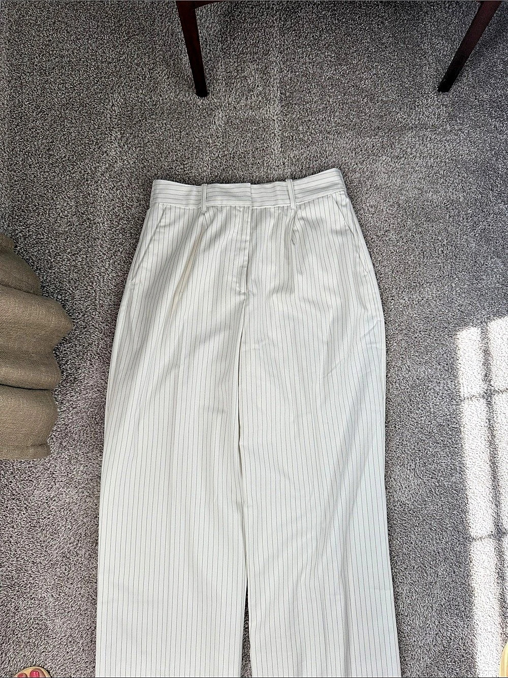American Tall High-Rise Wide-Leg Pleated Dress Pants NWOT